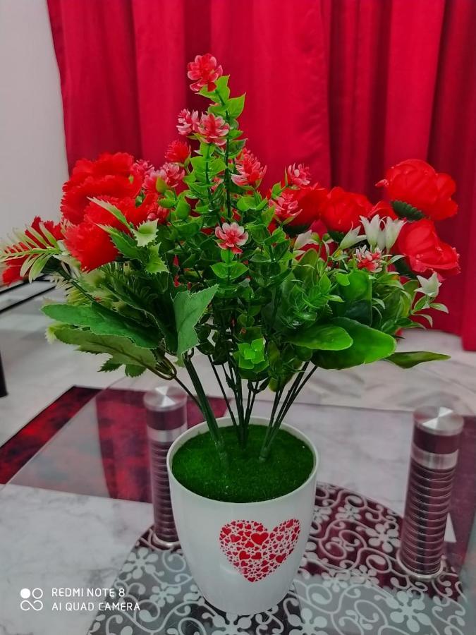 Pd Laguna Homestay Red Порт-Диксон Экстерьер фото